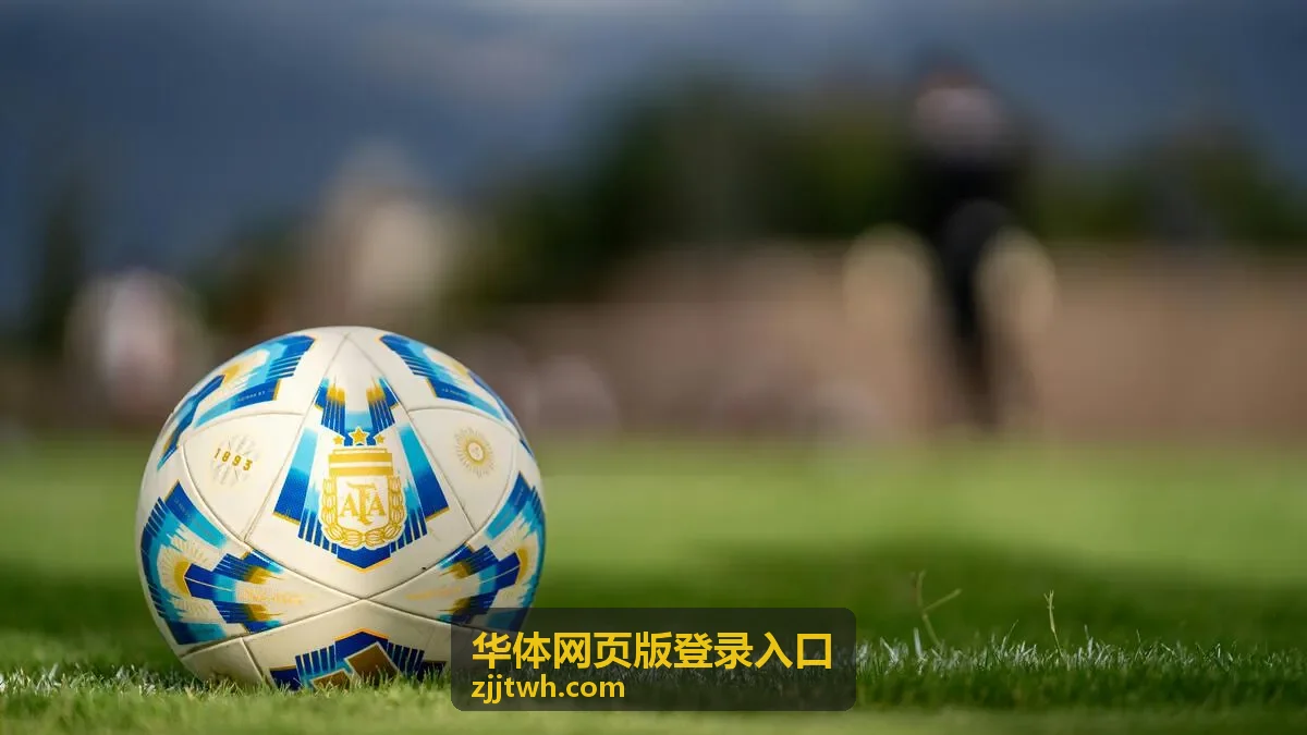 网页版登录入口账号安全设置界面示意
