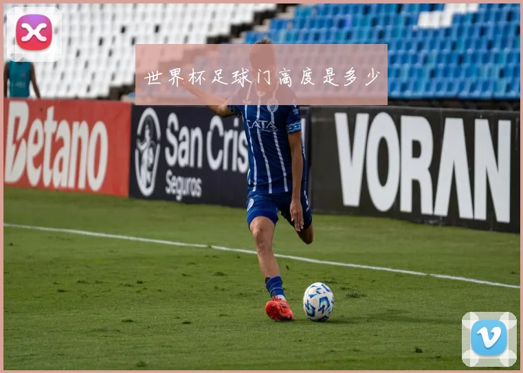 世界杯足球门高度是多少