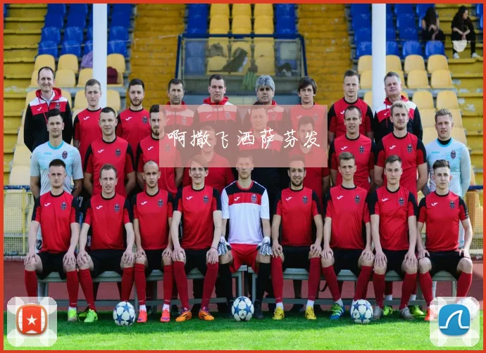 世界杯举办地回顾：上一届赛事卡塔尔举行