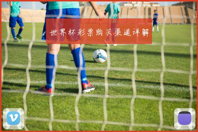 世界杯彩票购买渠道详解