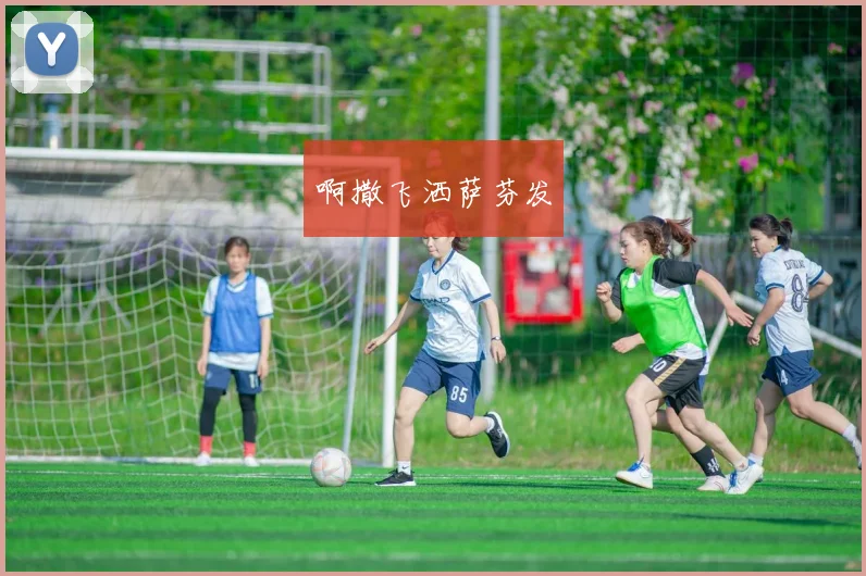 世界杯举办地回顾：上一届赛事卡塔尔举行