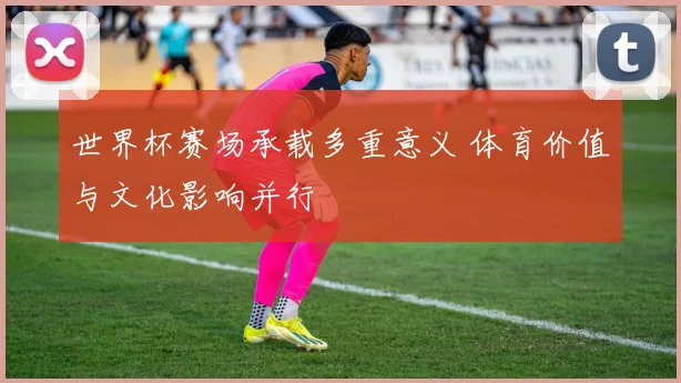 世界杯赛场承载多重意义 体育价值与文化影响并行