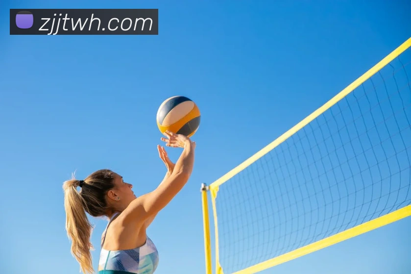 半岛在线体育平台生态图